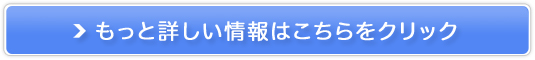 ONLYSIM/iX}zyXOO~`Iz̔TCg